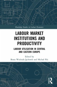 Cover Labour Market Institutions and Productivity (eBook, ePUB)