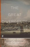 The Great Divergence (eBook, ePUB)