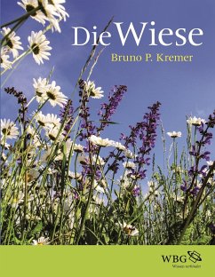 Die Wiese - Kremer, Bruno P.