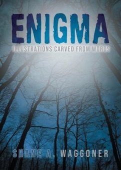Cover Enigma (eBook, ePUB)