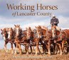 Working Horses of Lancaster County - Bild 1