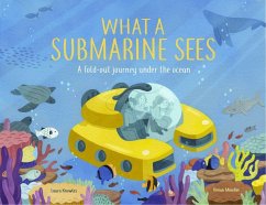 What a Submarine Sees - Knowles, Laura