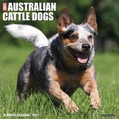 Just Australian Cattle Dogs 2021 Wall Calendar (Dog Breed Calendar) - Willow Creek Press