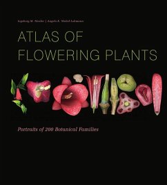 Atlas of Flowering Plants - Niesler, Ingeborg M; Niebel-Lohmann, Angela K