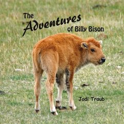 The Adventures of Billy Bison - Traub, Jodi