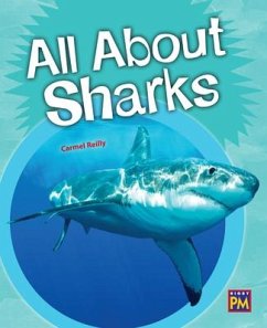 Cover All about Sharks