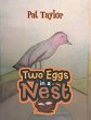 Two Eggs in a Nest - Bild 1