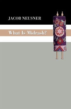 What Is Midrash? (eBook, PDF)