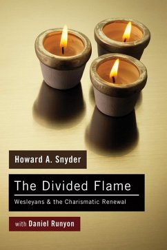 The Divided Flame (eBook, PDF) - Snyder, Howard A.; Runyon, Daniel