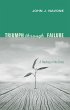 Triumph Through Failure (eBook, PDF) - Bild 1