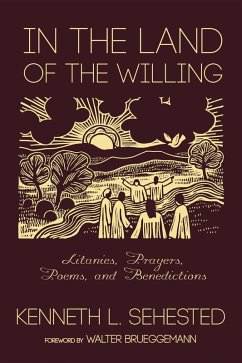 In the Land of the Willing (eBook, PDF)