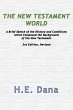 The New Testament World (eBook, PDF) - Bild 1