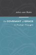 The Covenant of Grace in Puritan... - Bild 1
