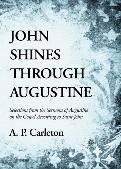 Cover John Shines Through Augustine (eBook, PDF)