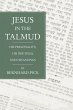Jesus in the Talmud (eBook, PDF) - Bild 1
