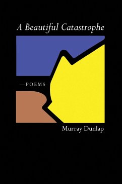 A Beautiful Catastrophe (eBook, PDF) - Dunlap, Murray