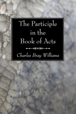The Participle in the Book of Acts (eBook, PDF)