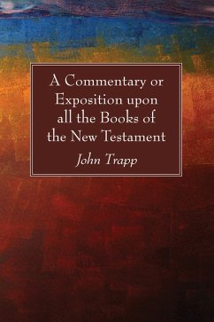 Cover A Commentary or Exposition upon all the Books of the New Testament (eBook, PDF)