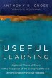 Useful Learning (eBook, PDF) - Bild 1