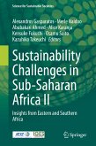 Sustainability Challenges in Sub-Saharan Africa II (eBook, PDF)