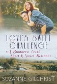 Love's Sweet Challenge (Bindarra Creek Small Town Sweet Romances) (eBook, ePUB)