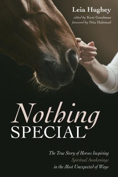 Nothing Special (eBook, ePUB) - Hughey, Leia