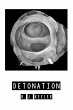 Detonation (eBook, ePUB) - Bild 1