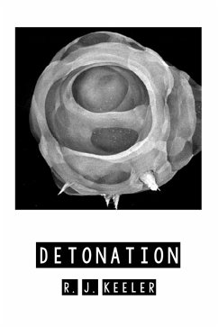 Detonation (eBook, ePUB)