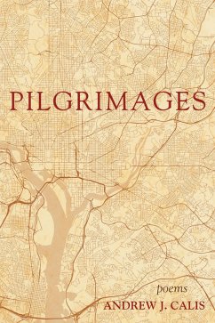 Pilgrimages (eBook, ePUB) - Calis, Andrew J.