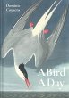 A Bird A Day (eBook, ePUB) - Bild 1
