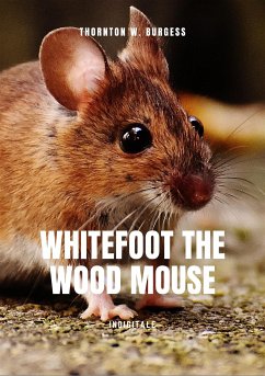 Whitefoot the wood mouse (eBook, ePUB) - W. Burgess, Thornton