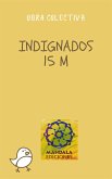 Indignados 15M Spanish revolution (fixed-layout eBook, ePUB)