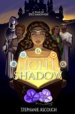 A Land of Light and Shadow (A Tale of Decamonde, #1) (eBook, ePUB)