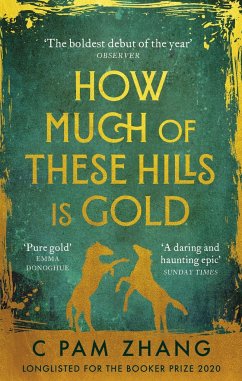 How Much of These Hills is Gold - Zhang, C Pam