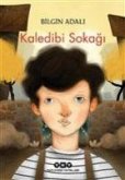 Kaledibi Sokagi