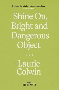Shine on, Bright and Dangerous Object (eBook, ePUB) - Colwin, Laurie
