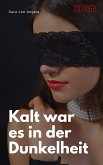 Kalt war es in der Dunkelheit (eBook, ePUB)