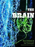 The Brain (eBook, PDF)