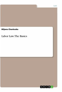 Labor Law. The Basics - Chavkoska, Biljana