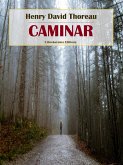 Caminar (eBook, ePUB)