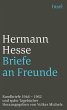 Briefe an Freunde (eBook, ePUB) - Bild 1