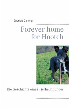 Forever home for Hootch - Gamma, Gabriela