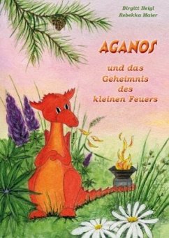 Aganos und das Geheimnis des kleinen Feuers - Heigl, Birgitt