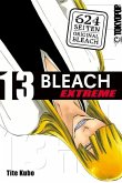 Bleach Extreme Bd.13