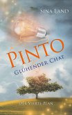 Pinto - Der vierte Plan (eBook, ePUB)