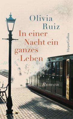 In einer Nacht ein ganzes Leben (eBook, ePUB) - Ruiz, Olivia