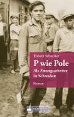 P wie Pole. Ein Roman aus Schwaben (eBook, ePUB)