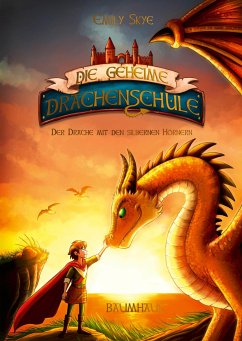 Der Drache mit den silbernen Hörnern / Die geheime Drachenschule Bd.2 (Mängelexemplar) - Skye, Emily