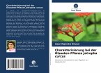 Charakterisierung bei der Ölsaaten-Pflanze Jatropha curcas