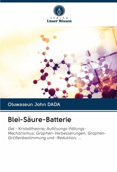 Blei-Säure-Batterie - Dada, Oluwaseun John